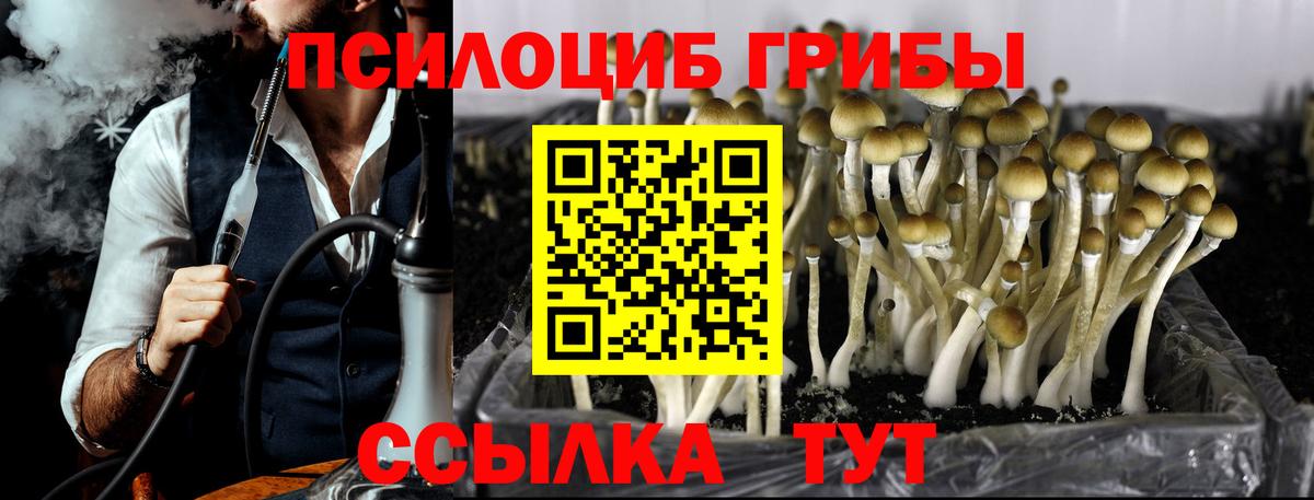 Галлюциногенные грибы прущие грибы Апатиты